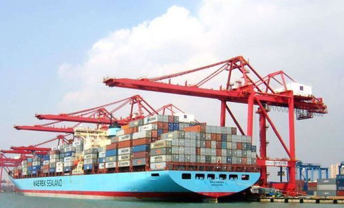 中俄豬肉貿(mào)易背后的國(guó)際博弈與民生考量